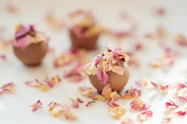 Casino Sun Palace App Android/iOS